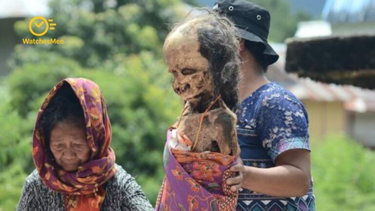 Knives Out - 2025-07-05T191912.196