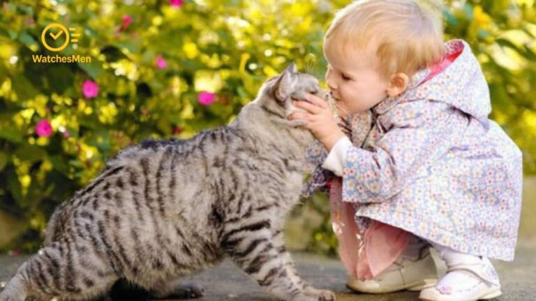 Knives Out - 2025-07-05T192139.860