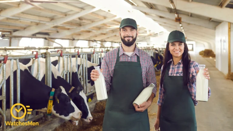 Peternakan Sapi Perah